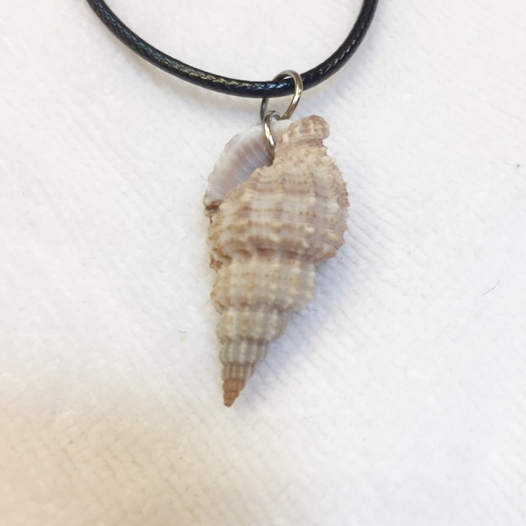 🐚 Shell Necklace - Picture 2 of 2